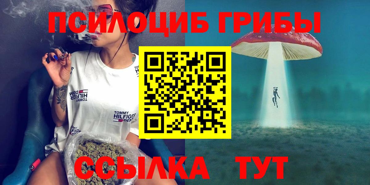 Кемерово  как найти закладки  Вход с VPN  Галлюциногенные грибы GOLDEN TEACHER 