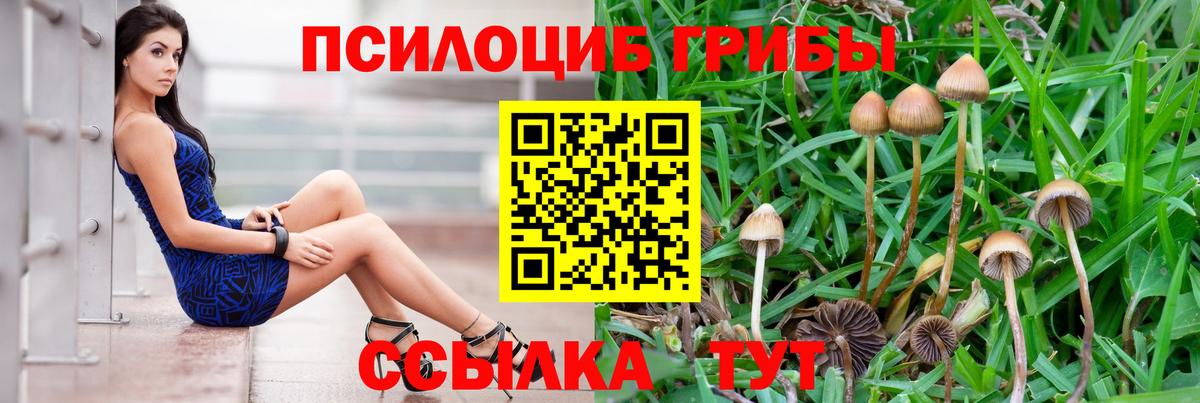 Галлюциногенные грибы Cubensis Кемерово